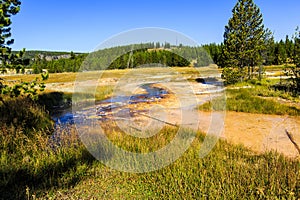 Beautiful Scene With Stream Yellowstone