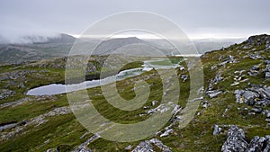 Beautiful scene of summer landscape with grazing reindeer, green cliff on water at Nordkapp, Norway