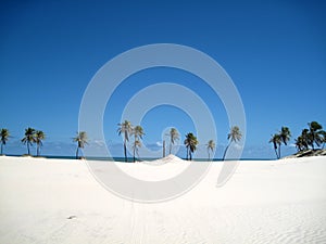 Beautiful scene of a tropical beach