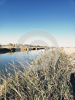 Beautiful scene of water canal and tall grasses