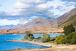 Beautiful scene of the yellow grassland mt cook and lake tekapo before sunset. I