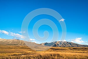 Beautiful scene of the yellow grassland mt cook and lake tekapo before sunset. I