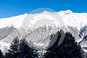 Beautiful sceneric view of Caucasus mountain. The way to mountain with pine forest covered with snow in winter season at Mestia