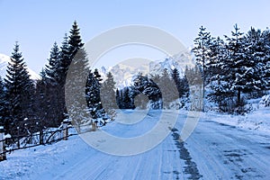 Beautiful sceneric view of Caucasus mountain. The way to mountain with pine forest covered with snow in winter season at Mestia