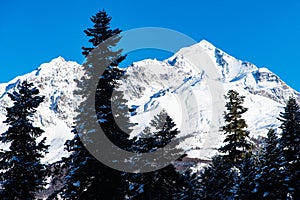 Beautiful sceneric view of Caucasus mountain. The way to mountain with pine forest covered with snow in winter season at Mestia