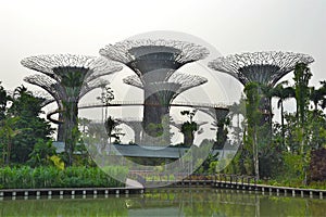 Beautiful scenery along Singapore Garden by the Bay