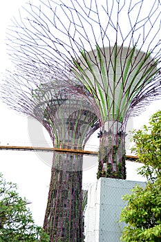 Beautiful scenery along Singapore Garden by the Bay