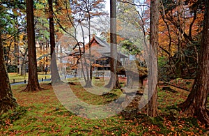 Beautiful scenery of autumn forest in the garden of a Buddhist temple in Kyoto Japan