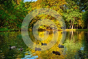 Beautiful scenery of the autumnal park in Gdansk. Poland