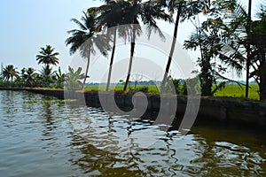 Beautiful scenery of backwaters