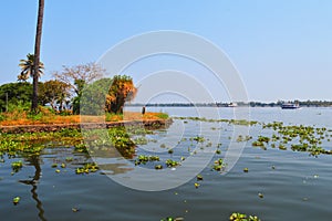 Beautiful scenery of backwaters of Alleppey