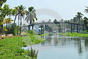 Beautiful scenery of backwaters with a pedestrial bridge in view.