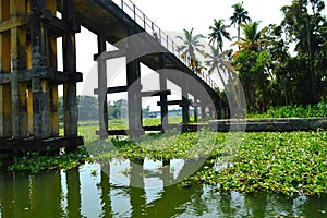 Beautiful scenery of backwaters with a pedestrial bridge in view.