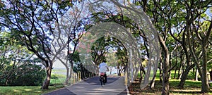 Beautiful scenery on the bicycle path in Bali District, Tamsui City, New Taipei City, Taiwan