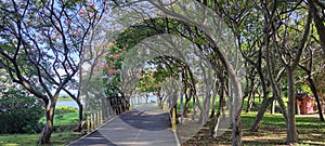 Beautiful scenery on the bicycle path in Bali District, Tamsui City, New Taipei City, Taiwan