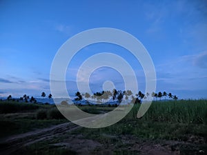 beautiful scenery with a blend of green expanses of trees and blue sky and mountains