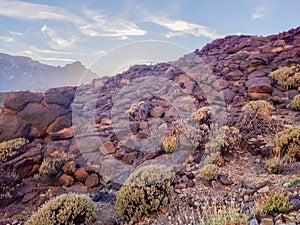 Beautiful scenery of caldera of Teide volcano in San Roques de Garcia, Tenerife. SpainRocks and lava in caldera of Teide volcano photo