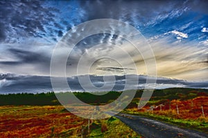 Beautiful scenery of the country road and heather meadows over blue cloudy sky