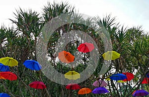 Beautiful scenery of decorative colourful umbrellas at Botanical Garden Putrajaya. Garden dan park decoration concept