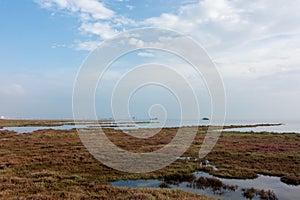 Beautiful scenery in the delta of Gallikos river, Kalochori, Greece, a refuge for many species of birds and fish