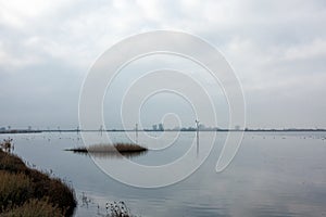 Beautiful scenery in the delta of Gallikos river, Kalochori, Greece, a refuge for many species of birds and fish