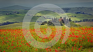 Beautiful scenery of a field full of red poppies surrounded by hills