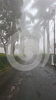 RoadStreet View In HighLand Hills