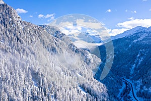 Beautiful scenery of a forest with a lot of trees in winter in the Swiss Alps, Switzerland