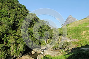 Beautiful scenery of green forest, river and smooth rocks