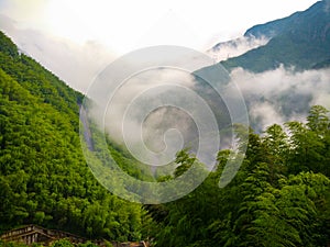 Beautiful scenery green plants blue sky sky and clouds