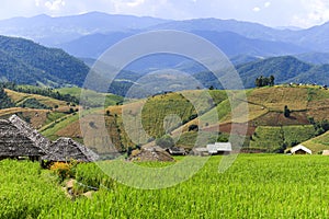 Beautiful scenery of hill cultivation at Pa Pong Pieng, green terraced rice fields in Mae Chaem, Chiang Mai, Thailand