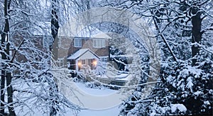 Beautiful scenery Of a house with lighting in a snowy forest.