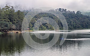 Beautiful scenery of huge lake, with trees, houses and mist create calming atmosphere