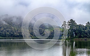 Beautiful scenery of huge lake, with trees, and mist create calming atmosphere