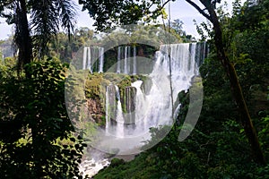 Beautiful scenery of Iguazu Waterfalls in Misiones Province, Argentina