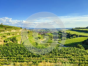 beautiful scenery at Kaiserstuhl Germany