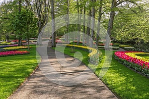 Beautiful scenery in Keukenhof royal flower garden in the Netherlands with beautiful flowerbeds and no people