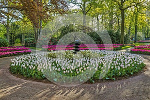 Beautiful scenery in Keukenhof royal flower garden in the Netherlands with beautiful flowerbeds and no people