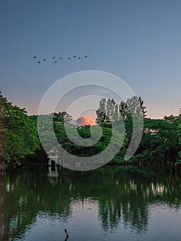 Beautiful scenery of lake and birds in buriram, Thailand