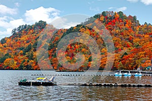 Beautiful scenery of lakeside mountains covered with colorful maple trees & swan boats moored to the floating docks on Lake Towada