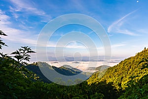 Beautiful scenery landscape of rainforest on mountain with mist and blue sky in morning light