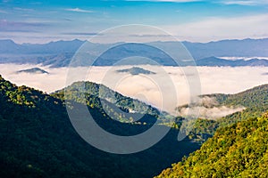 Beautiful scenery landscape of rainforest on mountain with mist and blue sky in morning light