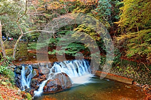 Beautiful scenery of a lovely waterfall tumbling down a rocky stream with colorful autumn foliage