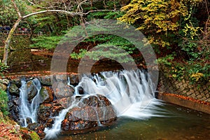 Beautiful scenery of a lovely waterfall tumbling down a rocky stream with colorful autumn foliage