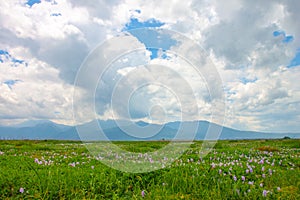 Beautiful Scenery of Meadow, Mountain and Cloudy White Sky