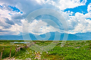 Beautiful Scenery of Meadow, Mountain and Cloudy White Sky