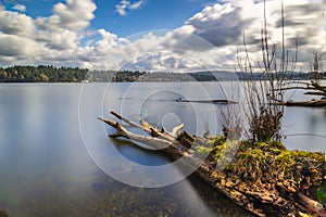 Beautiful Scenery on Mercer Island in Lake Washington with long exposure shot.