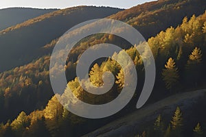 Beautiful scenery of mountains, tree , and forest in autumn.