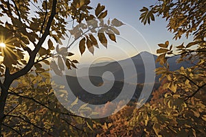 Beautiful scenery of mountains, tree , and forest in autumn.