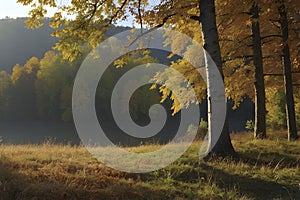 Beautiful scenery of mountains, tree , and forest in autumn.